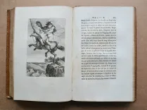 Roland furieux, poëme héroïque, de l’Arioste. (9/12) — ARIOSTE, Ludovico Ariosto, dit L’ (1474-1533), 1775 — Illustres anciens