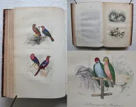 Œuvres complètes. Avec la nomenclature linnéenne et la classification de Cuvier. (10/12) — BUFFON, Georges Louis Leclerc (comte de ; 1707-1788), 1860 — Histoire Naturelle