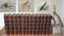 Œuvres complètes. Avec la nomenclature linnéenne et la classification de Cuvier. (1/12) — BUFFON, Georges Louis Leclerc (comte de ; 1707-1788), 1860 — Histoire Naturelle