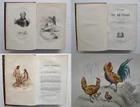 Œuvres complètes. Avec la nomenclature linnéenne et la classification de Cuvier. (2/12) — BUFFON, Georges Louis Leclerc (comte de ; 1707-1788), 1860 — Histoire Naturelle