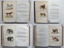 Œuvres complètes. Avec la nomenclature linnéenne et la classification de Cuvier. (4/12) — BUFFON, Georges Louis Leclerc (comte de ; 1707-1788), 1860 — Histoire Naturelle