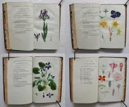 Œuvres complètes. Nouvelle édition (7/12) — ROUSSEAU (Jean-Jacques), 1788 — Botanique