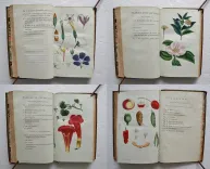 Œuvres complètes. Nouvelle édition (8/12) — ROUSSEAU (Jean-Jacques), 1788 — Botanique