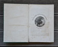 Voyages et aventures du capitaine Hatteras – Les anglais au pôle nord – Le désert de glace. (4/12) — VERNE (Jules), 1868 — Cartonnages