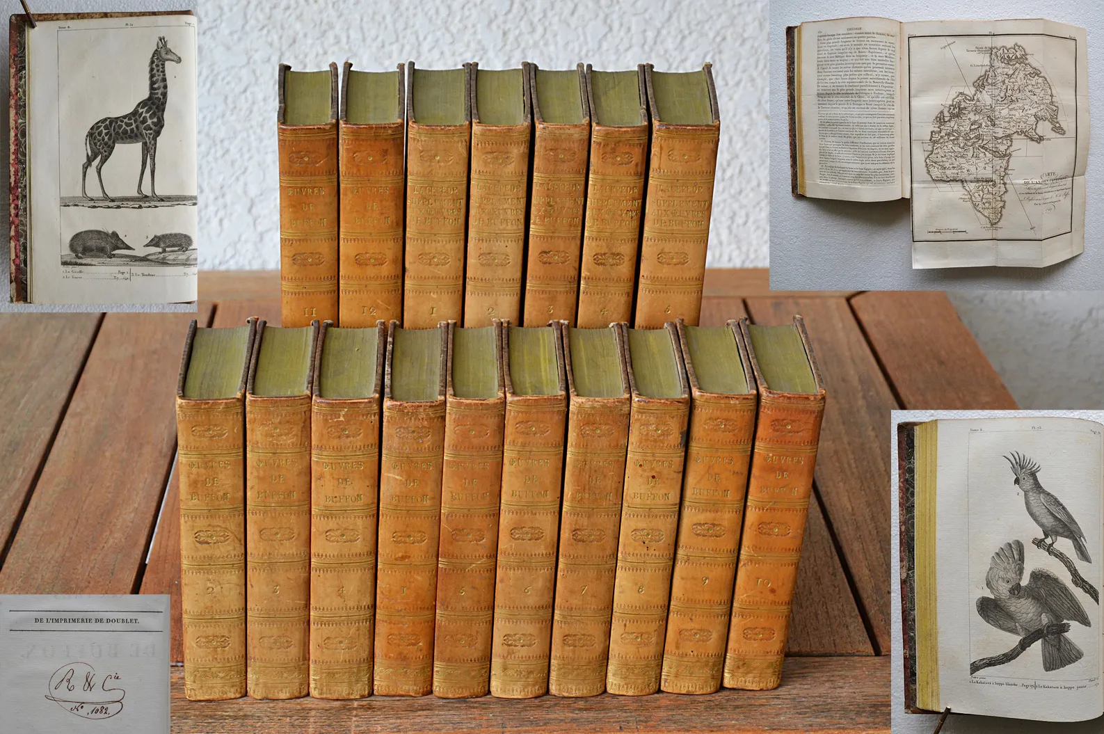 Œuvres complètes de Buffon, mises en ordre, précédées d’une notice sur la vie de l’auteur, et suivies d’un discours intitulé : Vue générale des progrès de plusieurs branches des sciences naturelles depuis le milieu du dernier siècle (1/14) — BUFFON, Georges Louis Leclerc (comte de ; 1707-1788) & LACÉPÈDE, Étienne de la Ville (comte de ; 1756-1825), 1817 — Histoire Naturelle